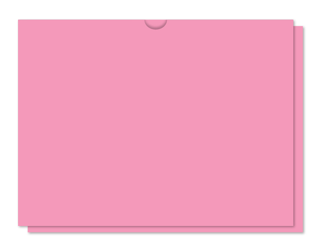 Vehicle Deal Envelope Plain in Pink PK 100; image is a plain, light-pink-colored deal envelope. www.flywheelnw.com